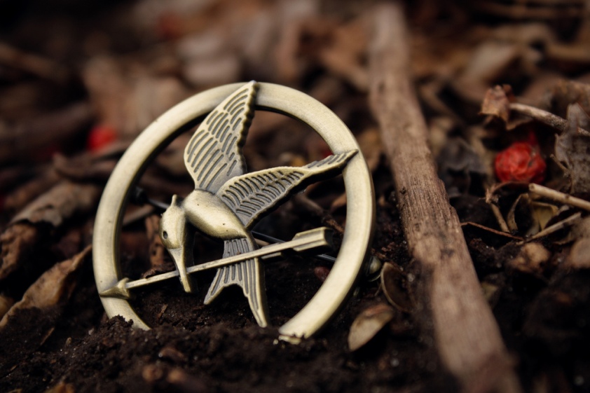 The Hunger Games by Kendra Miller from Flickr under CC BY-ND 2.0