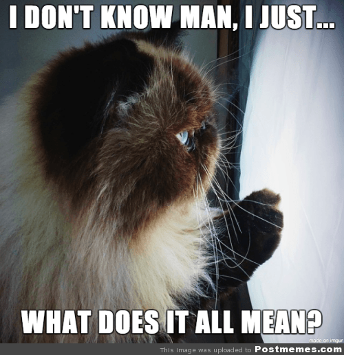 Existential Crisis Kitty by Post Memes from Flickr under CC BY 2.0